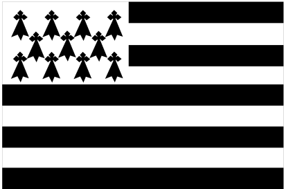 Download free flag brittany icon